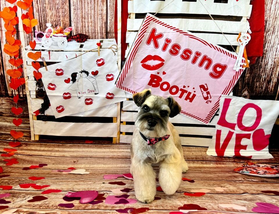 a small dog is sitting in front of a kissing booth sign