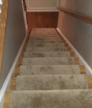 Carpeted steps