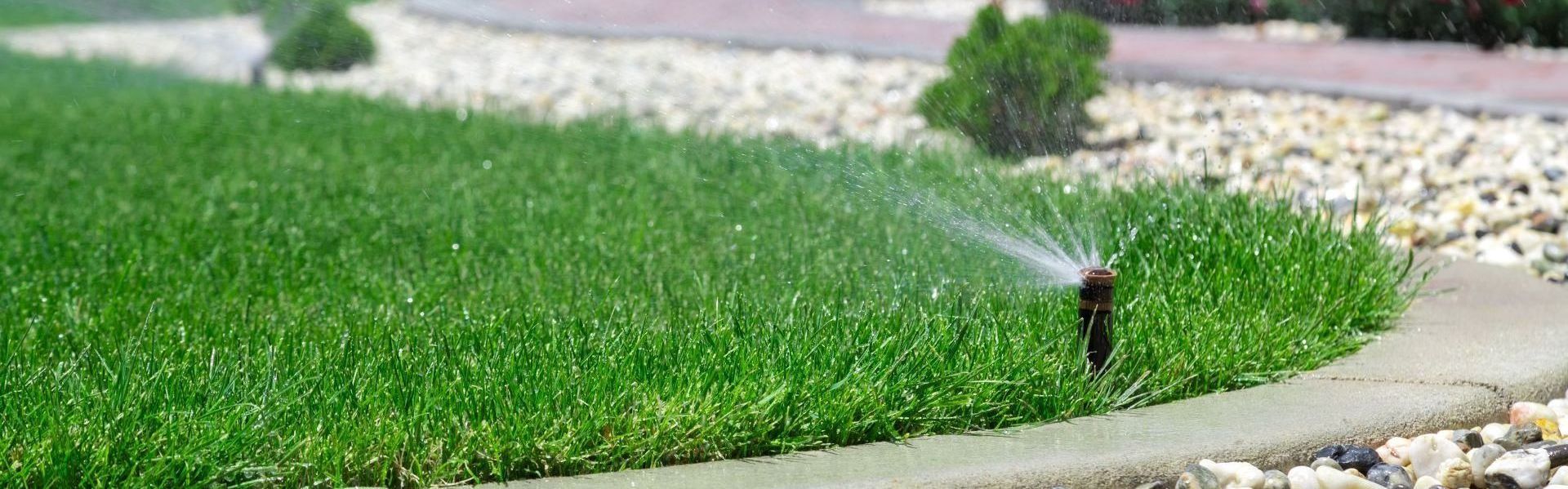 A lawn sprinkler is spraying water on a lush green lawn.