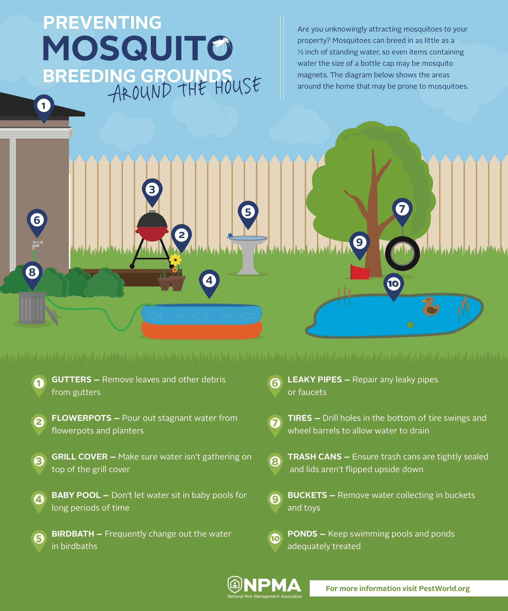 A poster about preventing mosquito breeding grounds in a backyard.