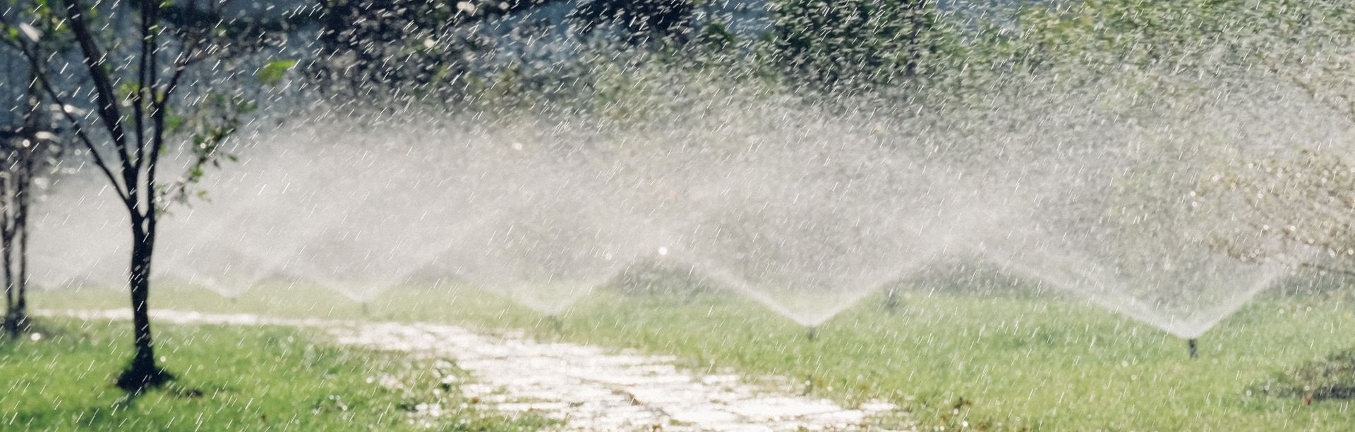 Several lawn sprinklers spraying water over a grassy field