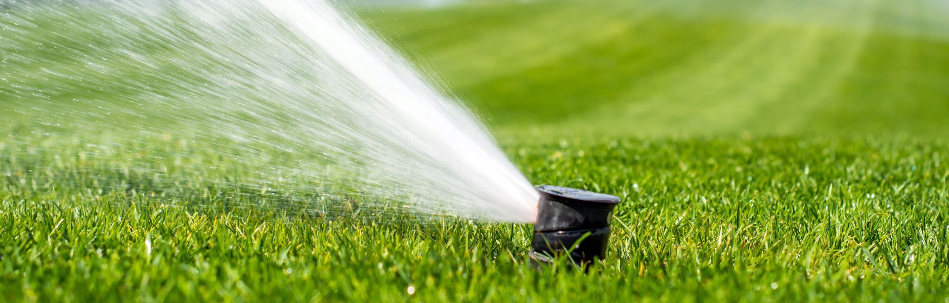 A lawn sprinkler spraying a mist of water across a vibrant green grass field