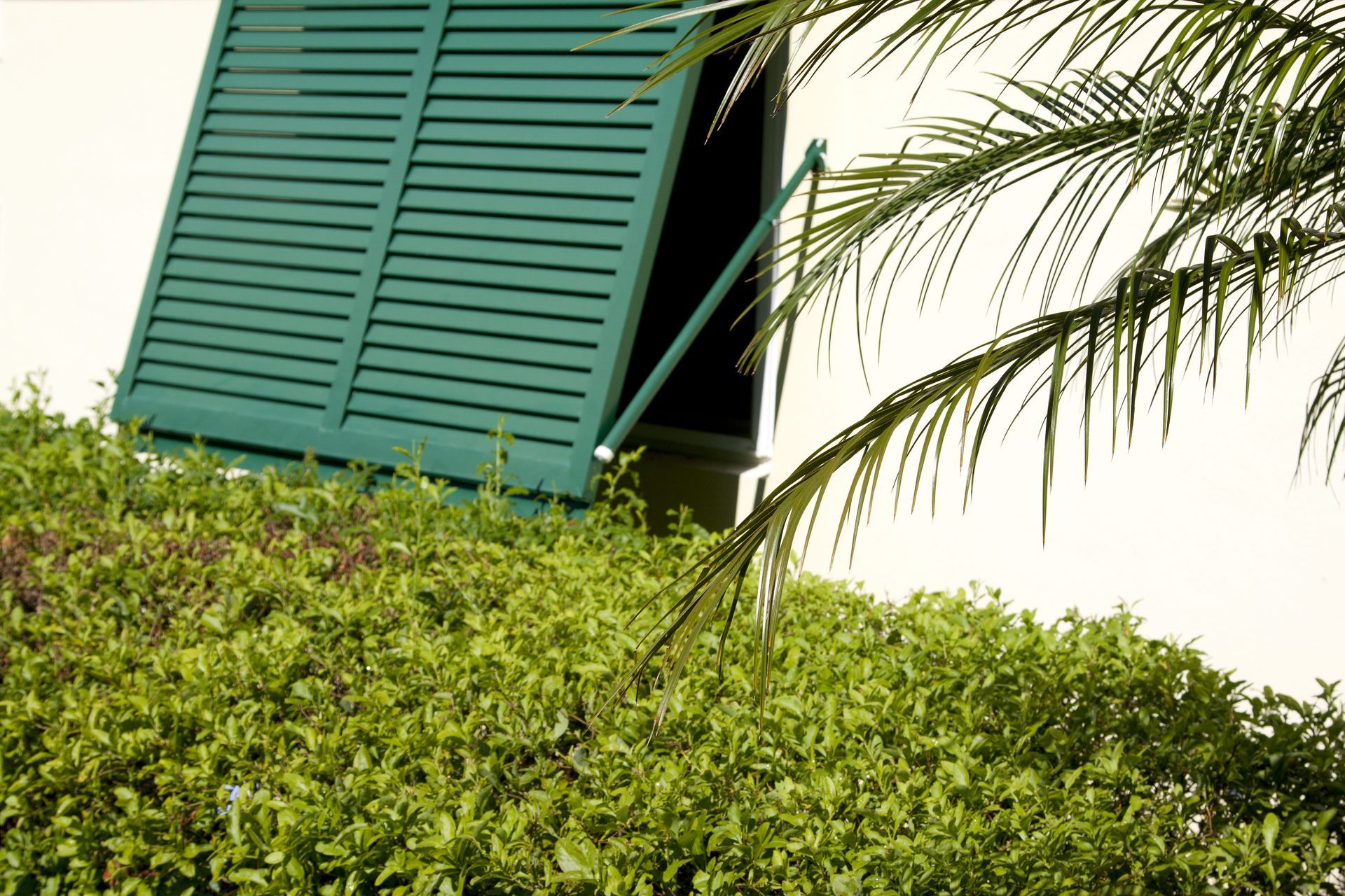 hurricane shutters