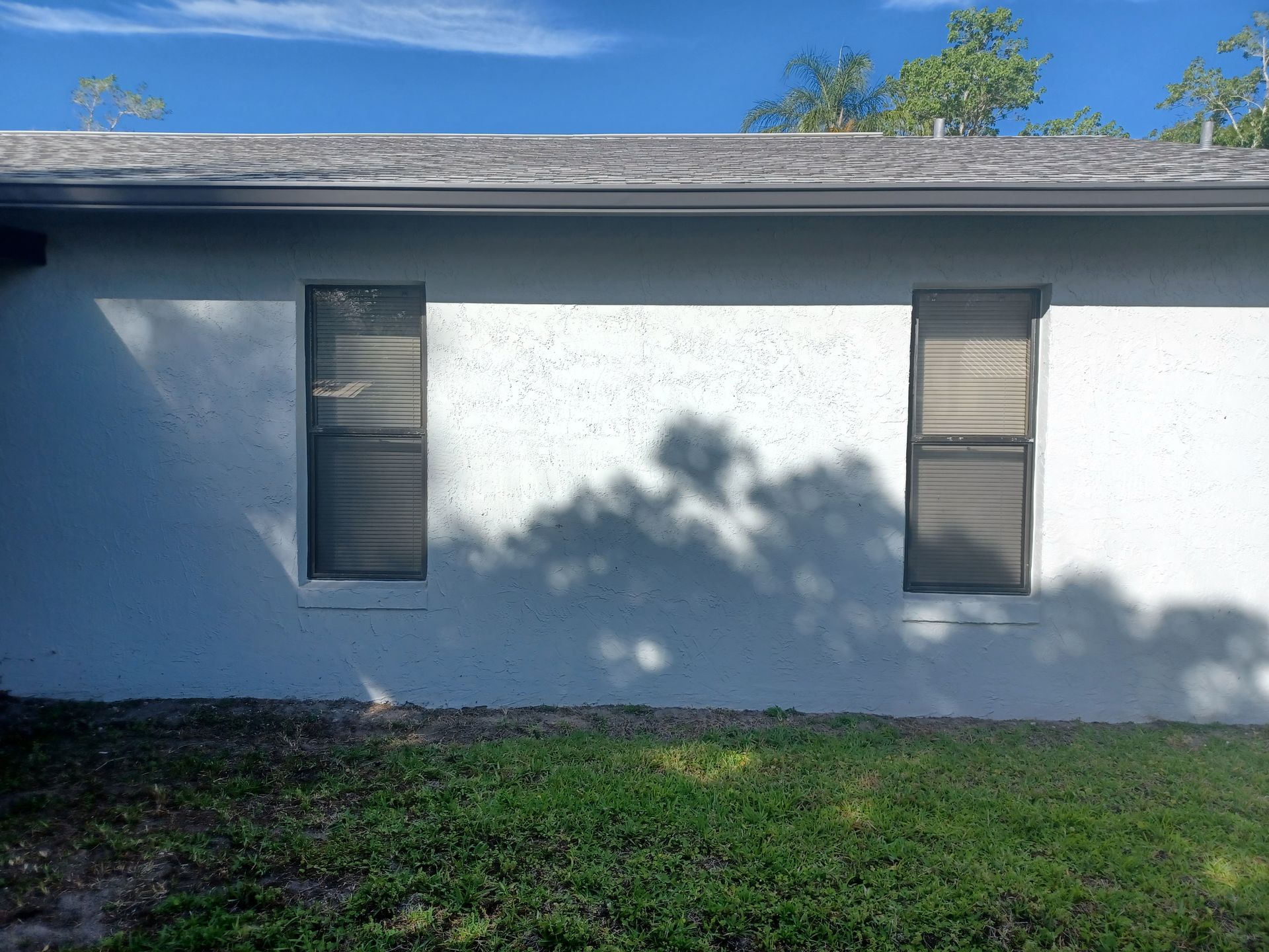 White house exterior with two narrow windows and tree shadows on the wall