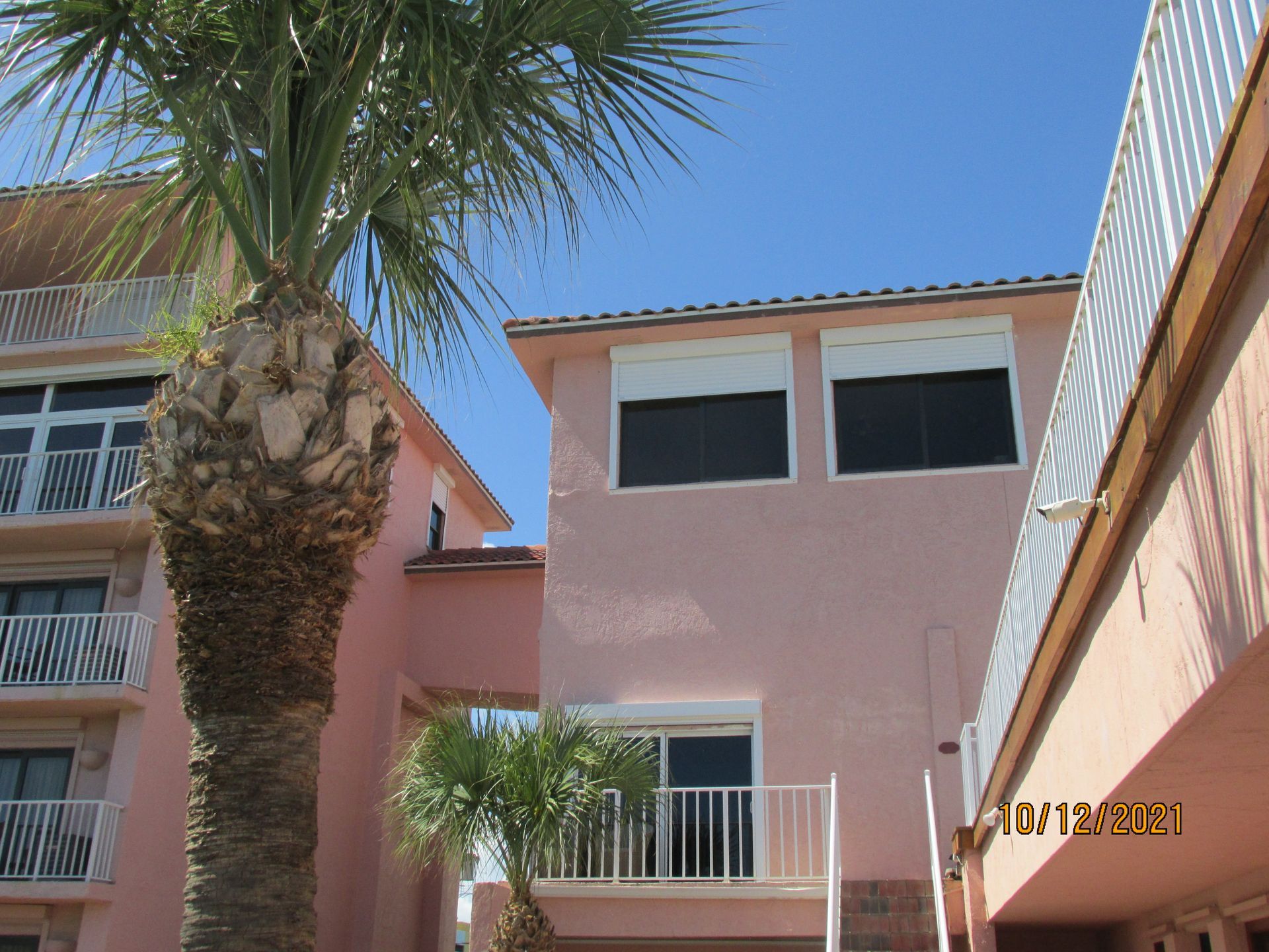 Pink apartment buildings with white railings and a palm tree against a clear blue sky