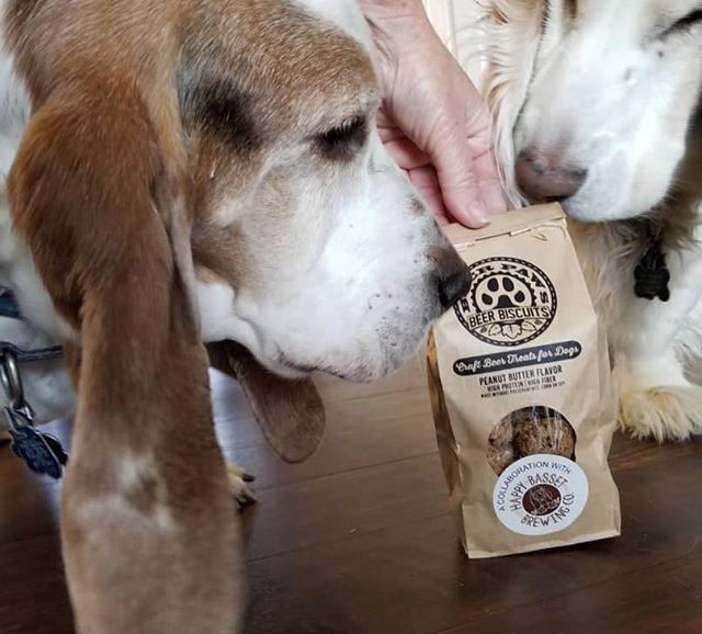 Two dogs sniffing a bag of 