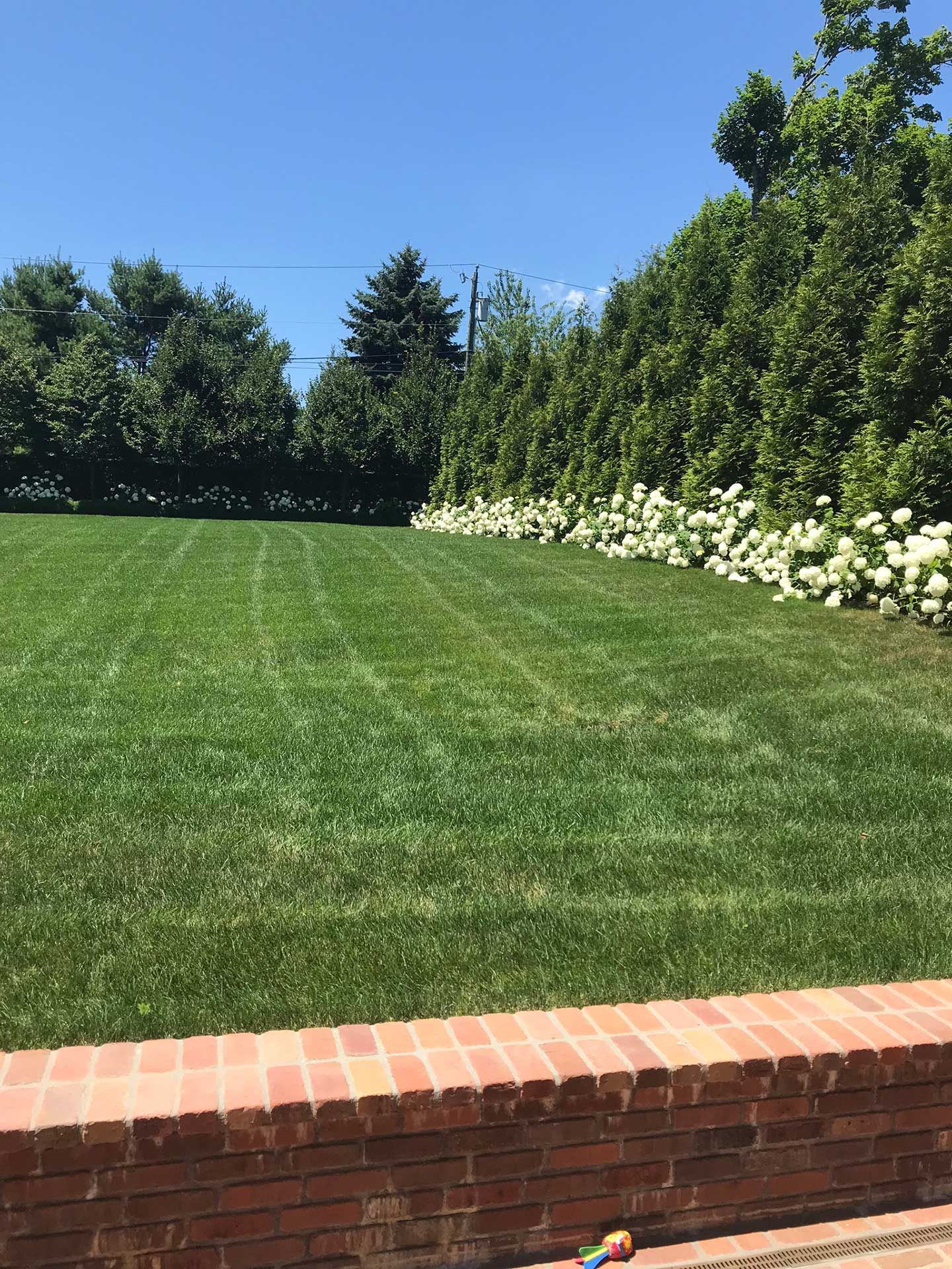 a large lawn with a brick wall in the foreground and trees in the background