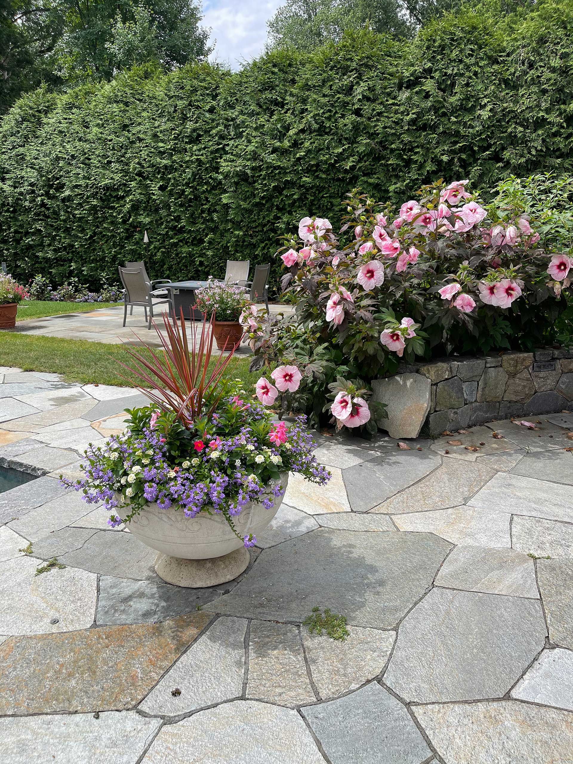 many different types of flowers in this garden