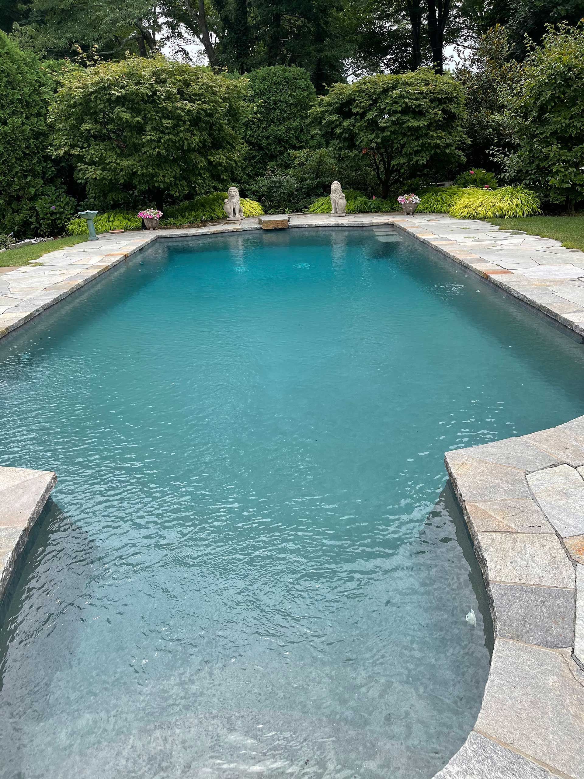 a large swimming pool surrounded by trees and bushes in a backyard