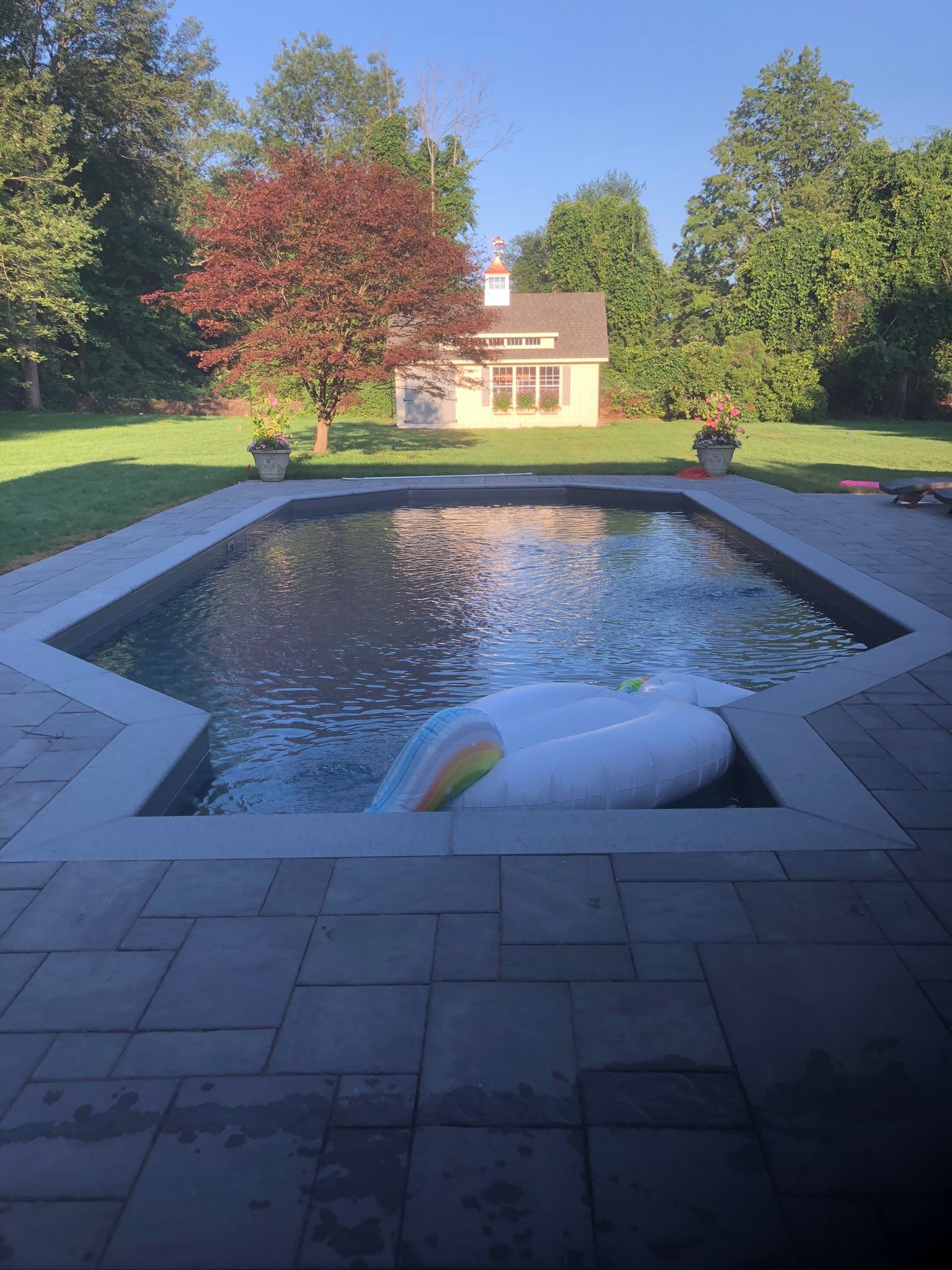 a large swimming pool with a swan float in it