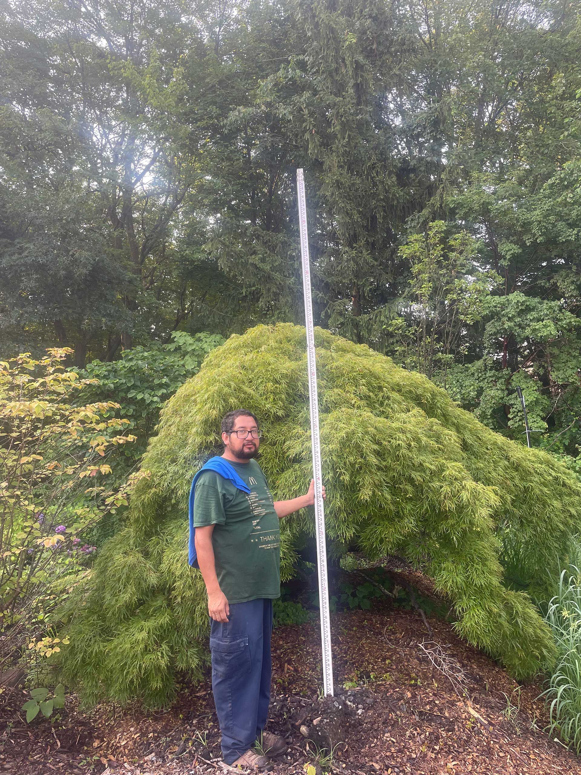 a man is standing next to a tree holding a stick
