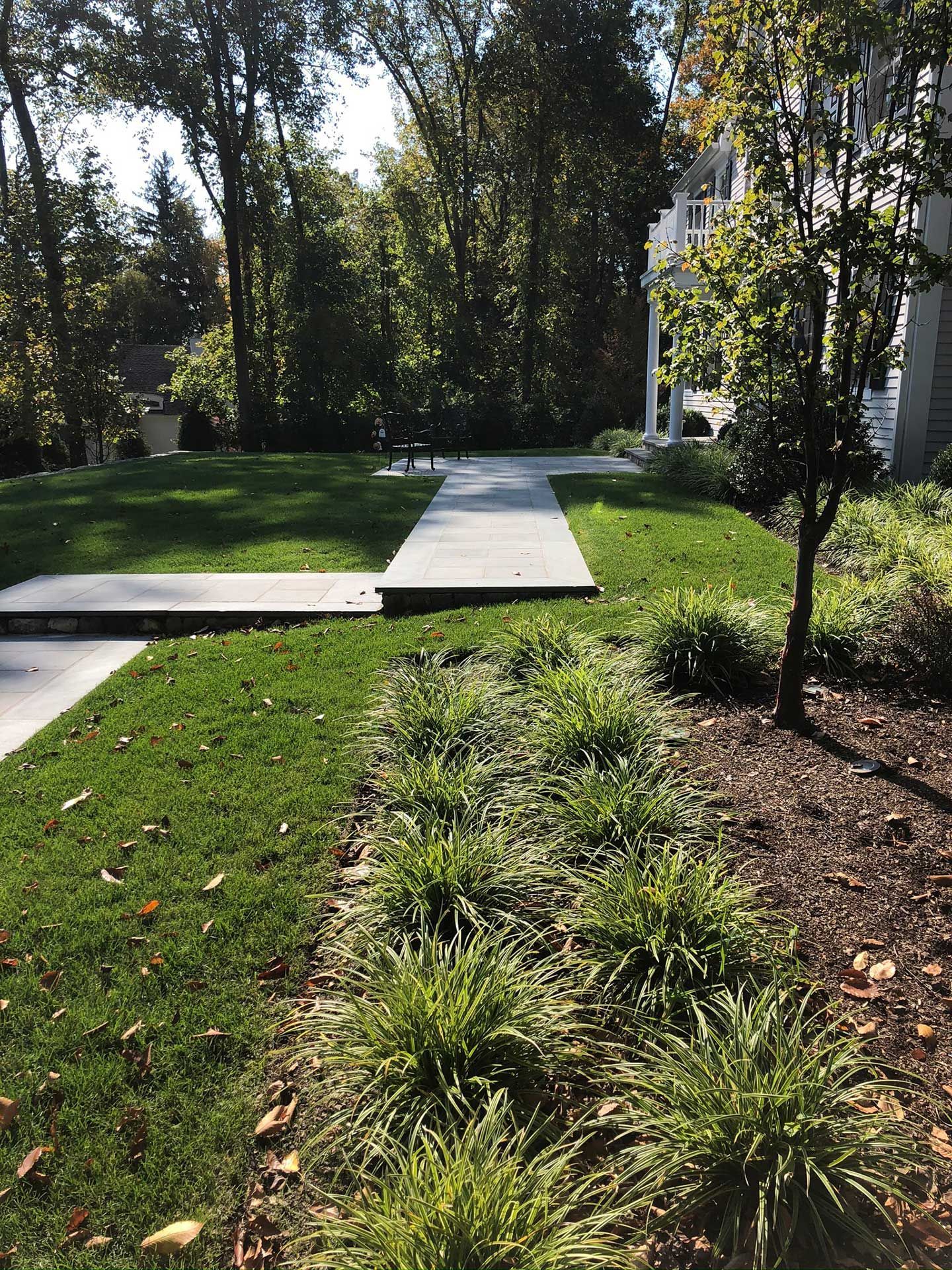 a lush green lawn with a concrete walkway leading to a house