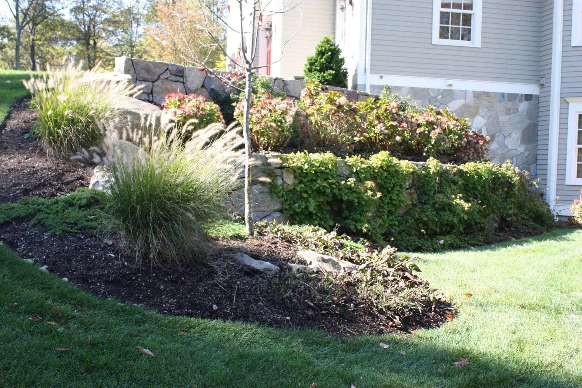 A house with a lot of plants in front of it