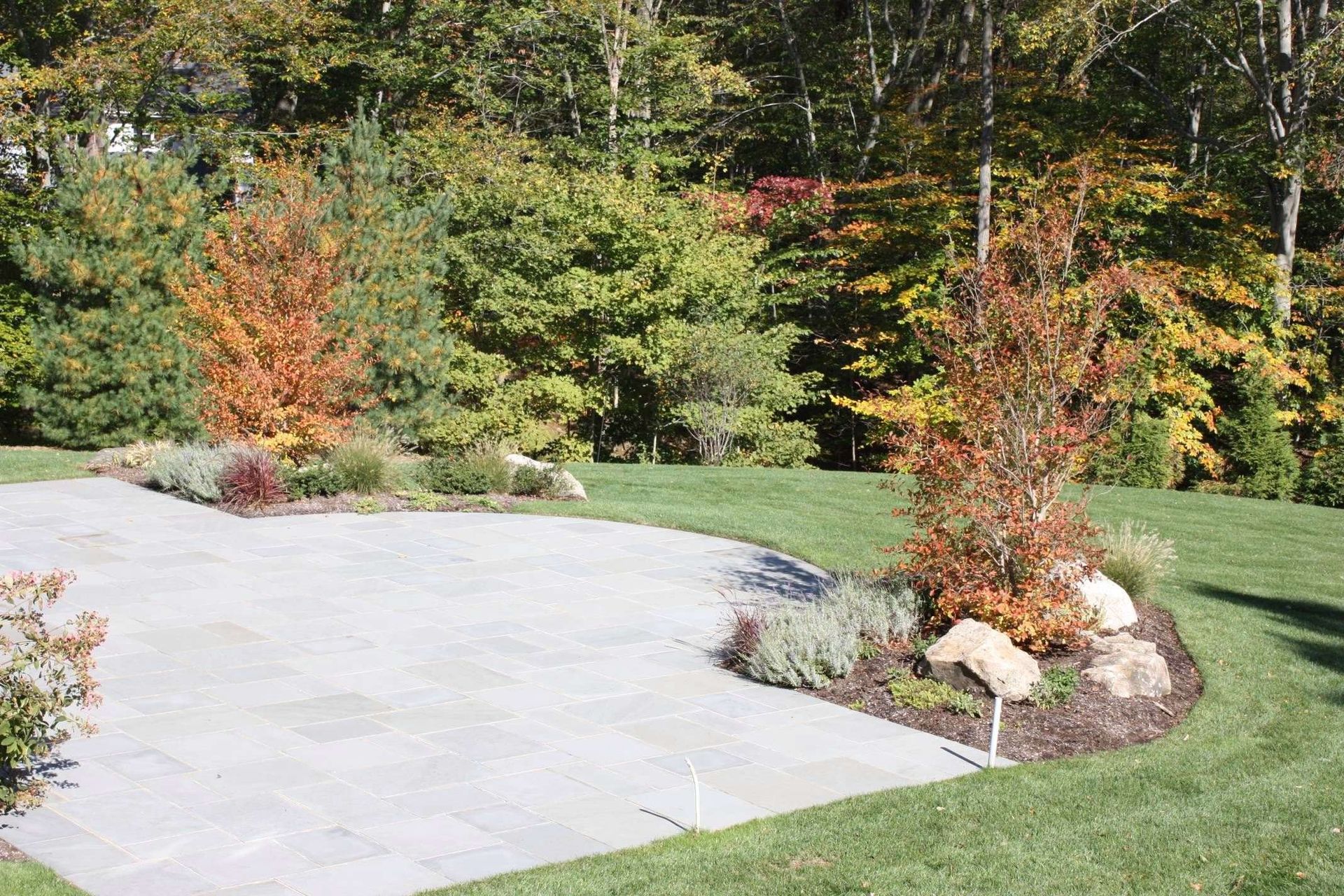 A concrete driveway surrounded by grass and trees in a park.