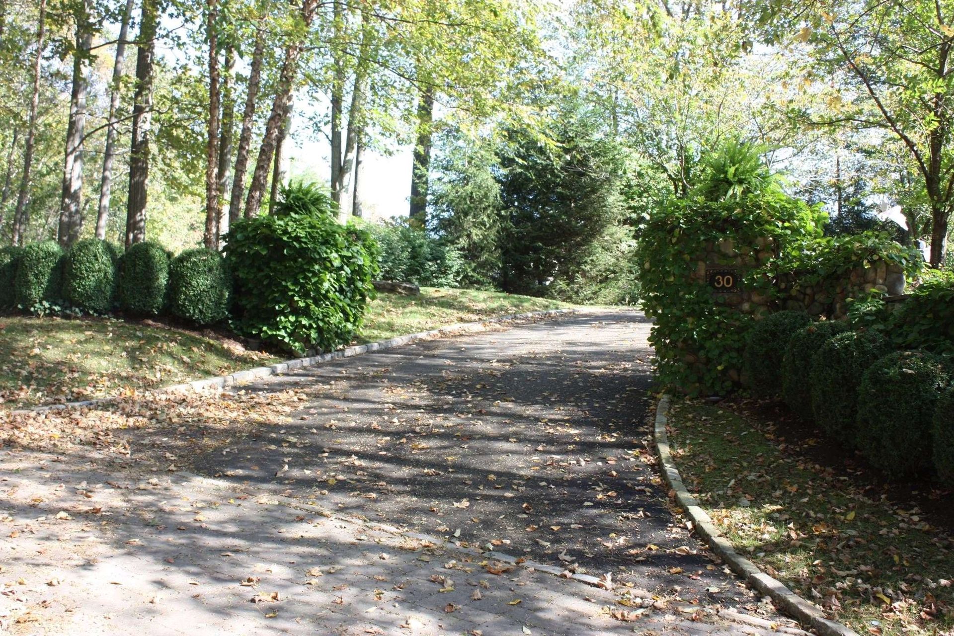 A road with trees on both sides and leaves on the ground