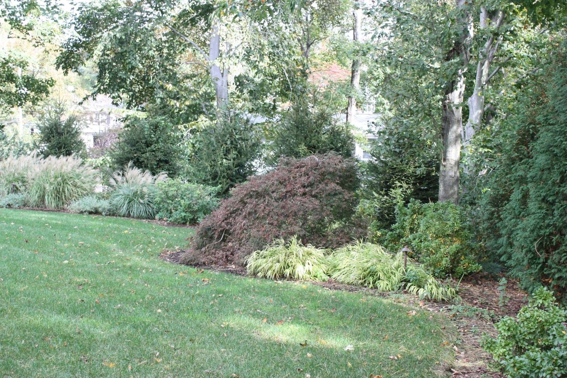 A lush green lawn surrounded by trees and bushes.