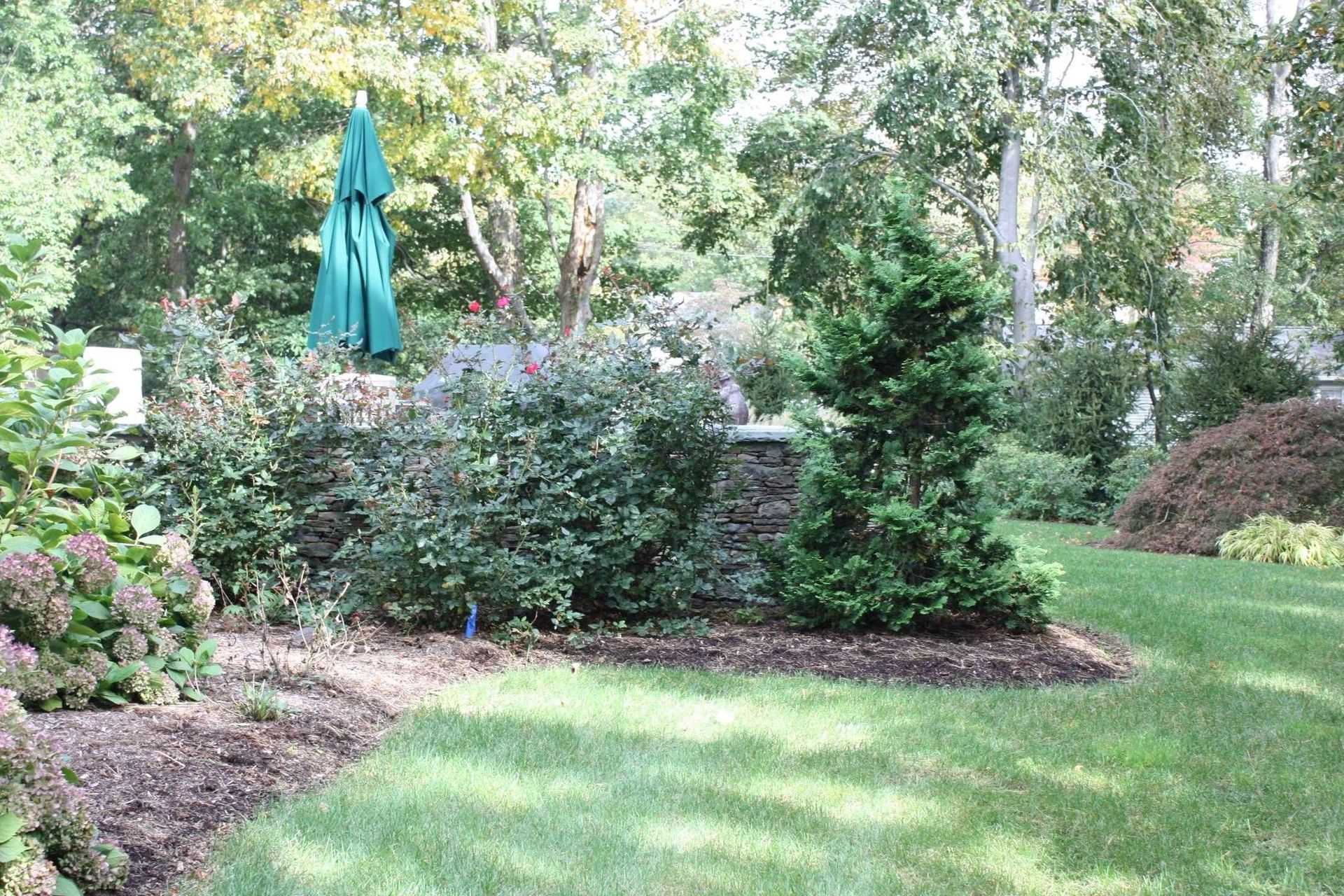 A green umbrella is sitting in the middle of a lush green garden.