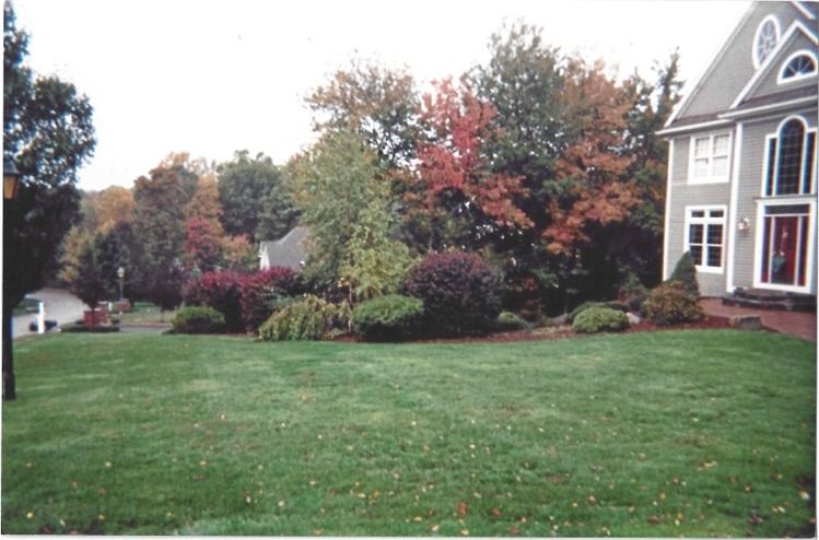 A house with a large lawn in front of it