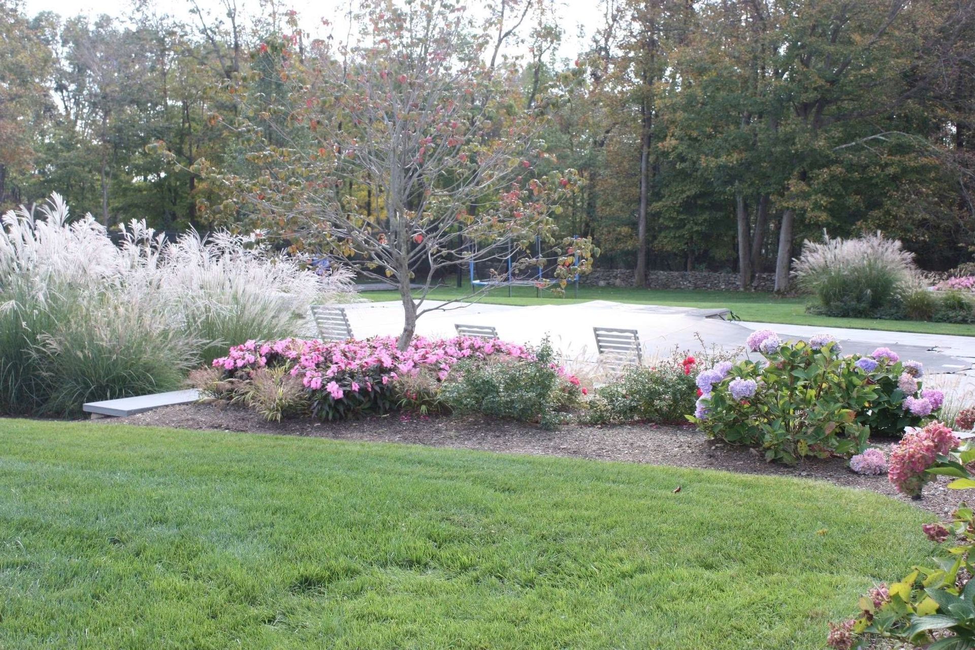 A lush green lawn with flowers and trees in the background
