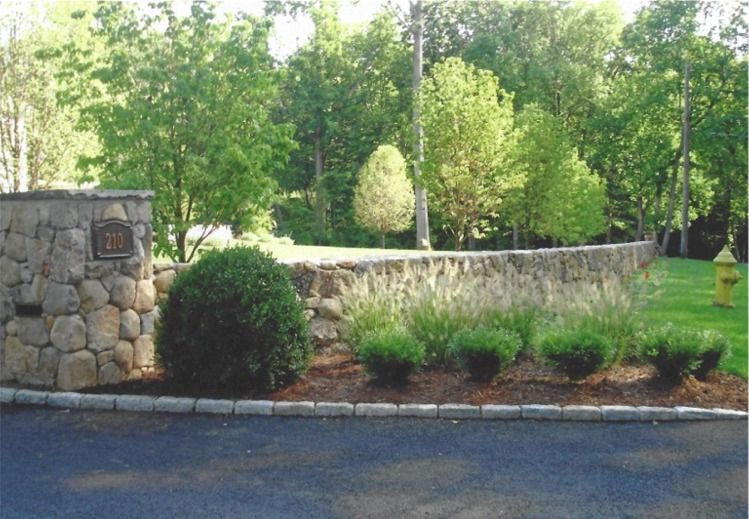 A stone wall is surrounded by trees and bushes and a fire hydrant