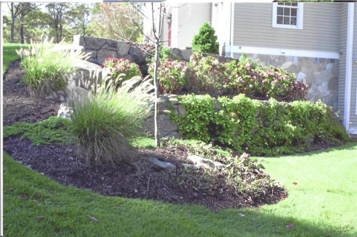 A lush green yard with a house in the background