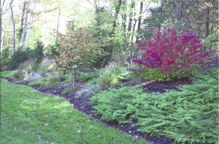 A garden filled with lots of trees and flowers