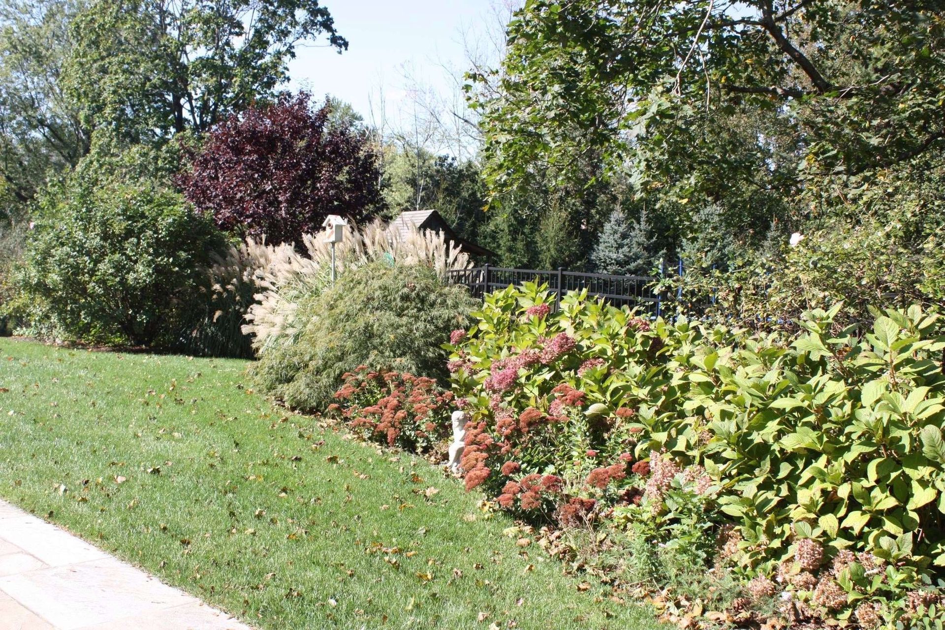A lush green lawn surrounded by trees and bushes on a sunny day.