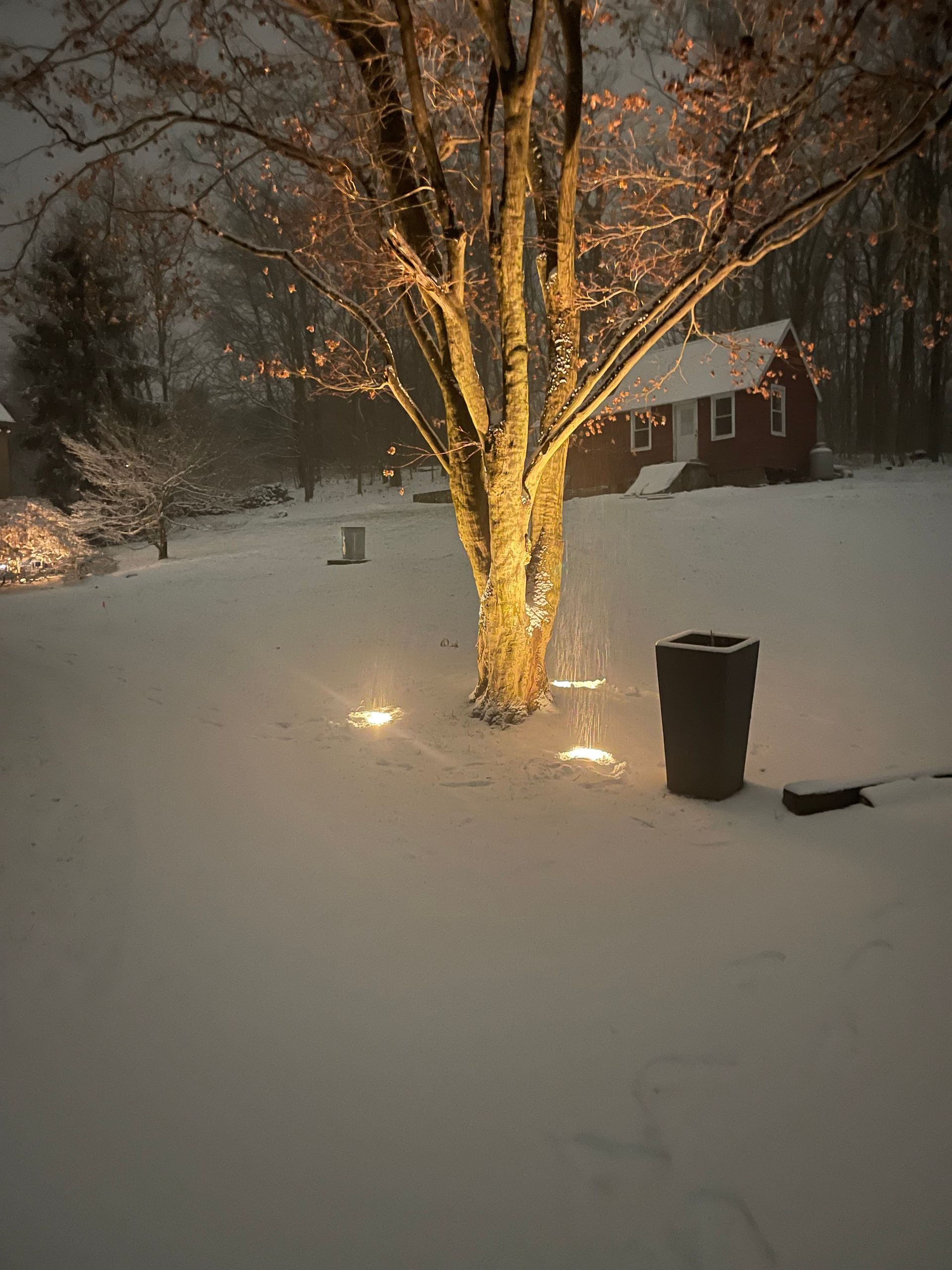 A tree is lit up with christmas lights in the snow in front of a house.