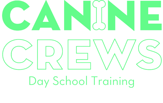 Day School Training logo