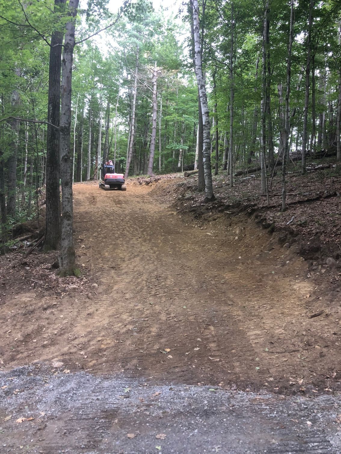A dirt path carved into a hillside in a forest. A small excavator is visible at the top of the path.