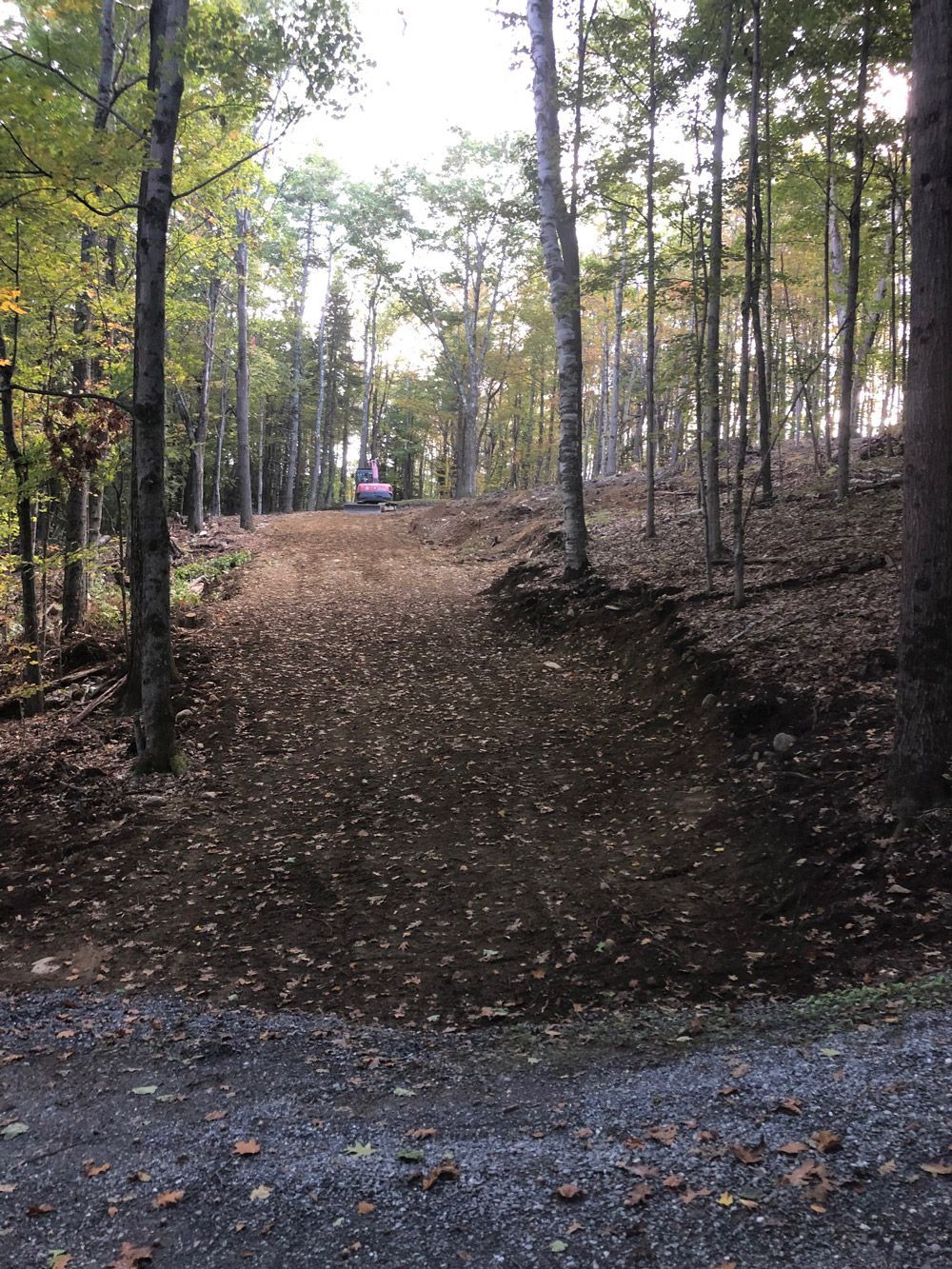Dirt road through a forest with an excavator in the distance, likely under construction.