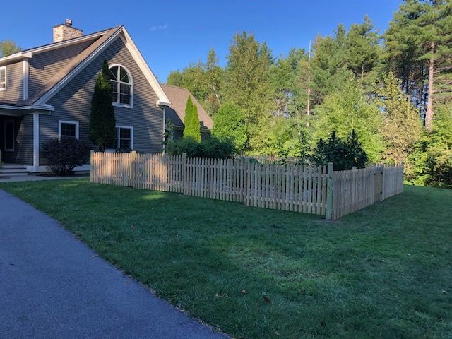 Wooden fence with plants and trees