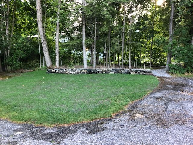 Retaining wall in front of several trees
