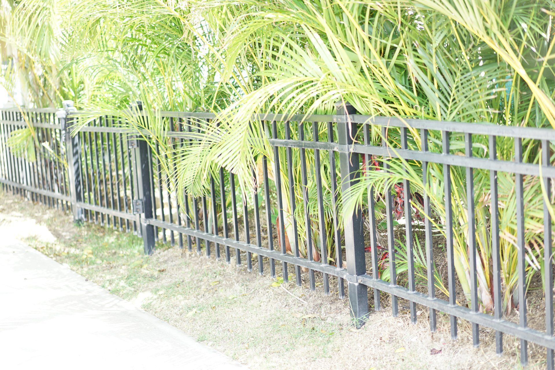 Aluminum Fencing