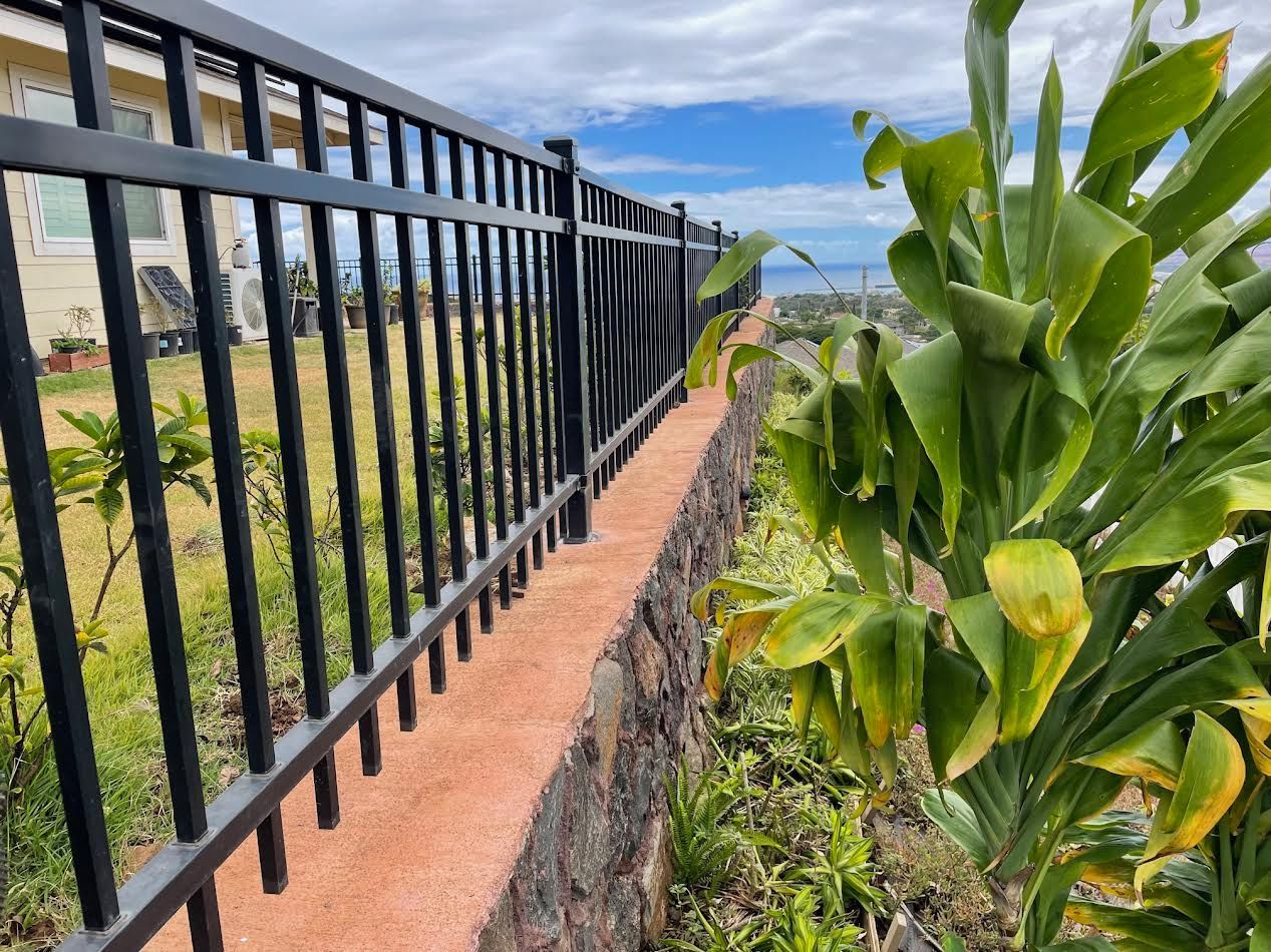 A black metal fence surrounds a path in a garden.