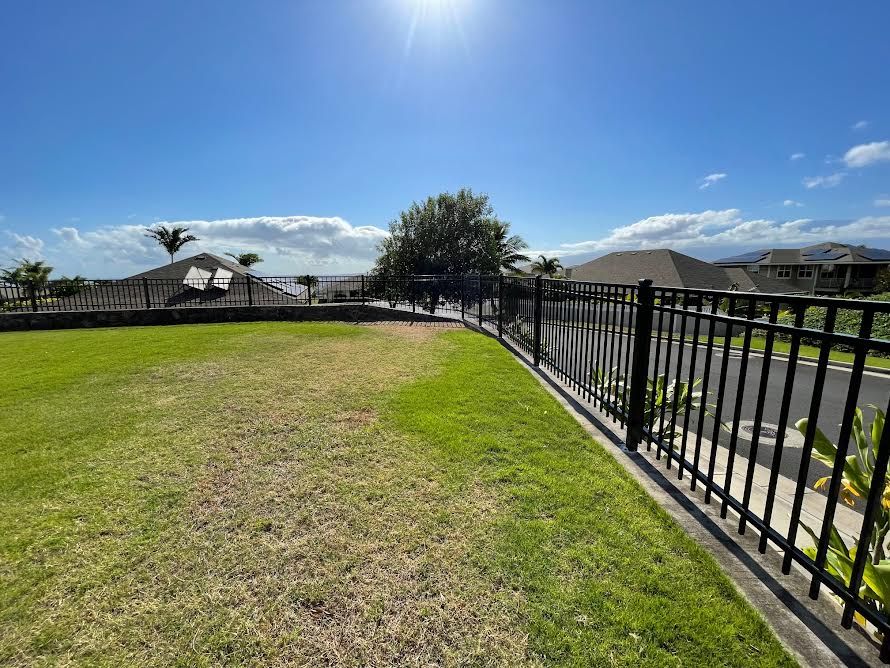 A black metal fence surrounds a lush green field.