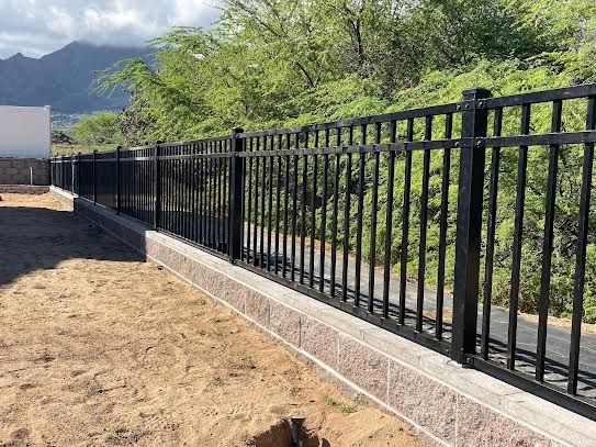 A black metal fence surrounds a dirt field with trees in the background.