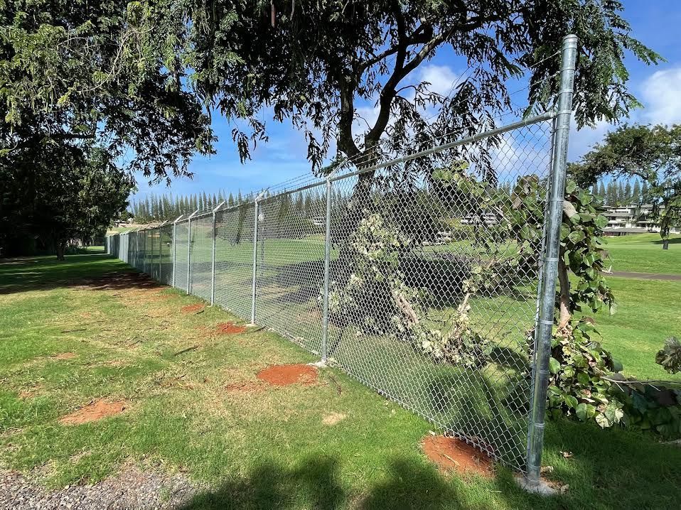A chain link fence is surrounded by grass and trees in a park.