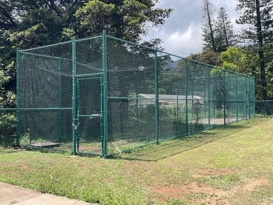 A green chain link fence is surrounded by grass and trees.
