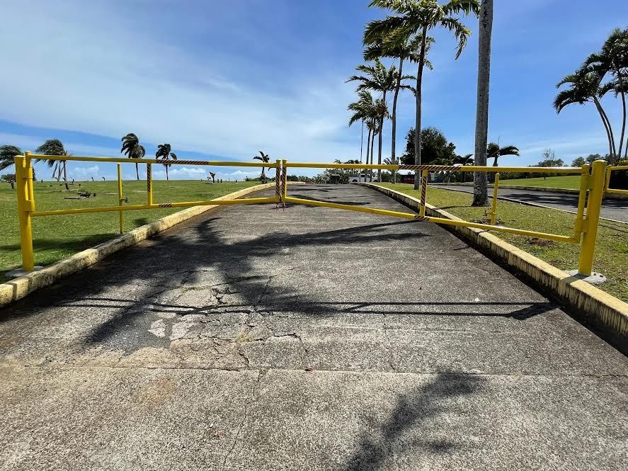 A road with a yellow fence and palm trees on the side