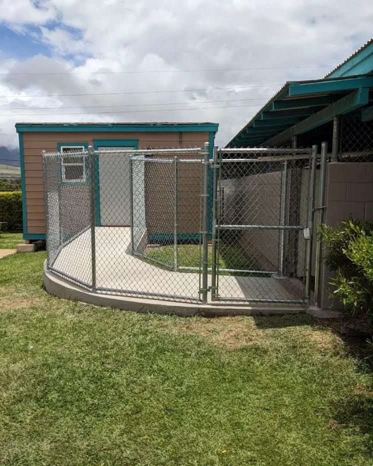 A dog kennel with a chain link fence and a walkway in front of a building.