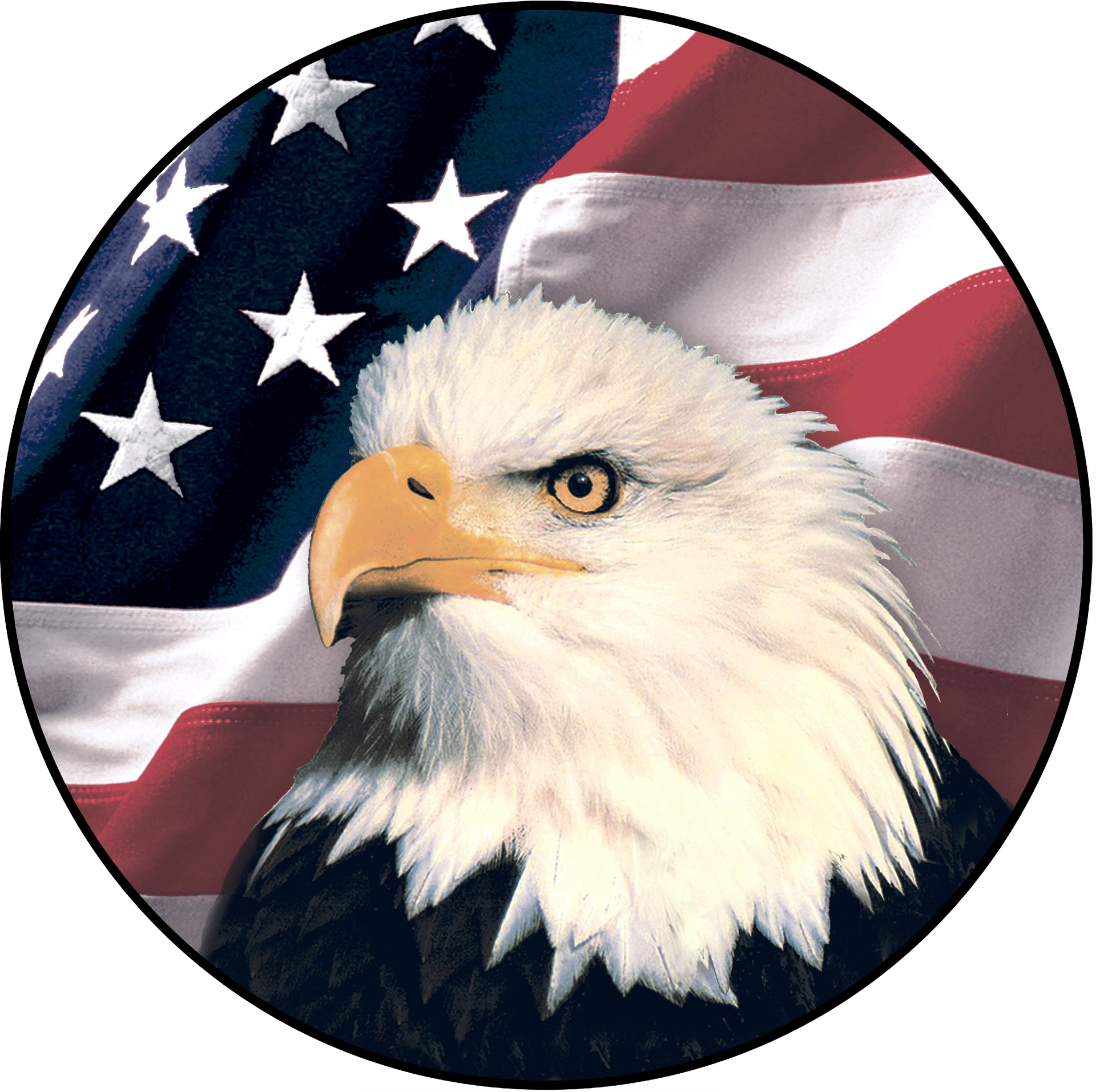 American Eagle Tree Service