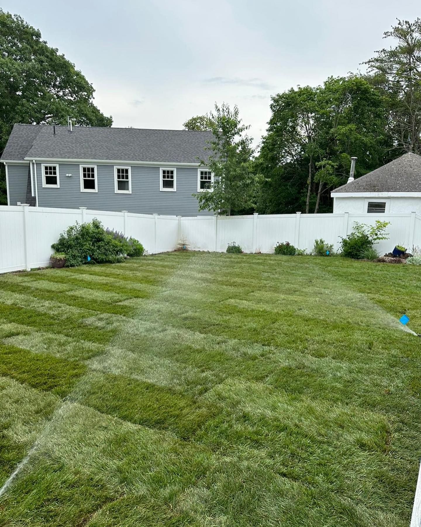a lush green yard with a white fence and a house in the background