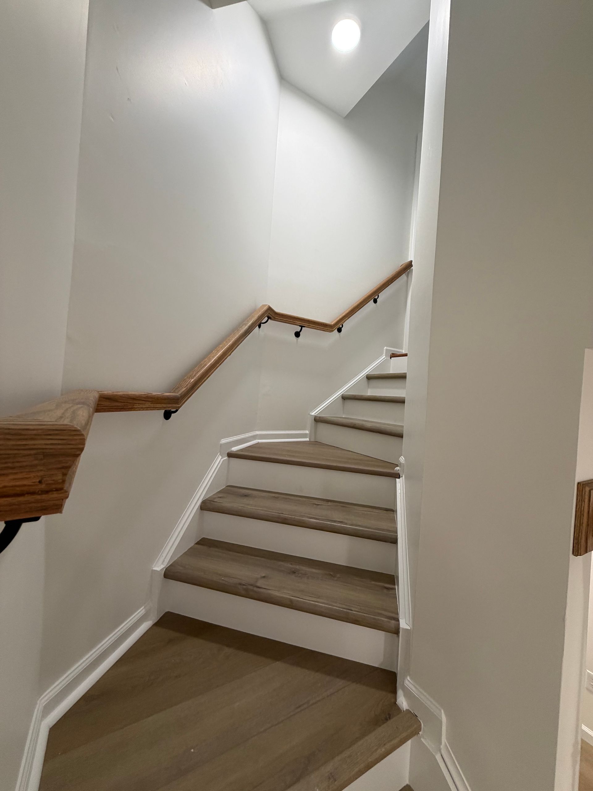 Indoor staircase with white walls, wood handrail, and carpeted steps in a narrow hallway