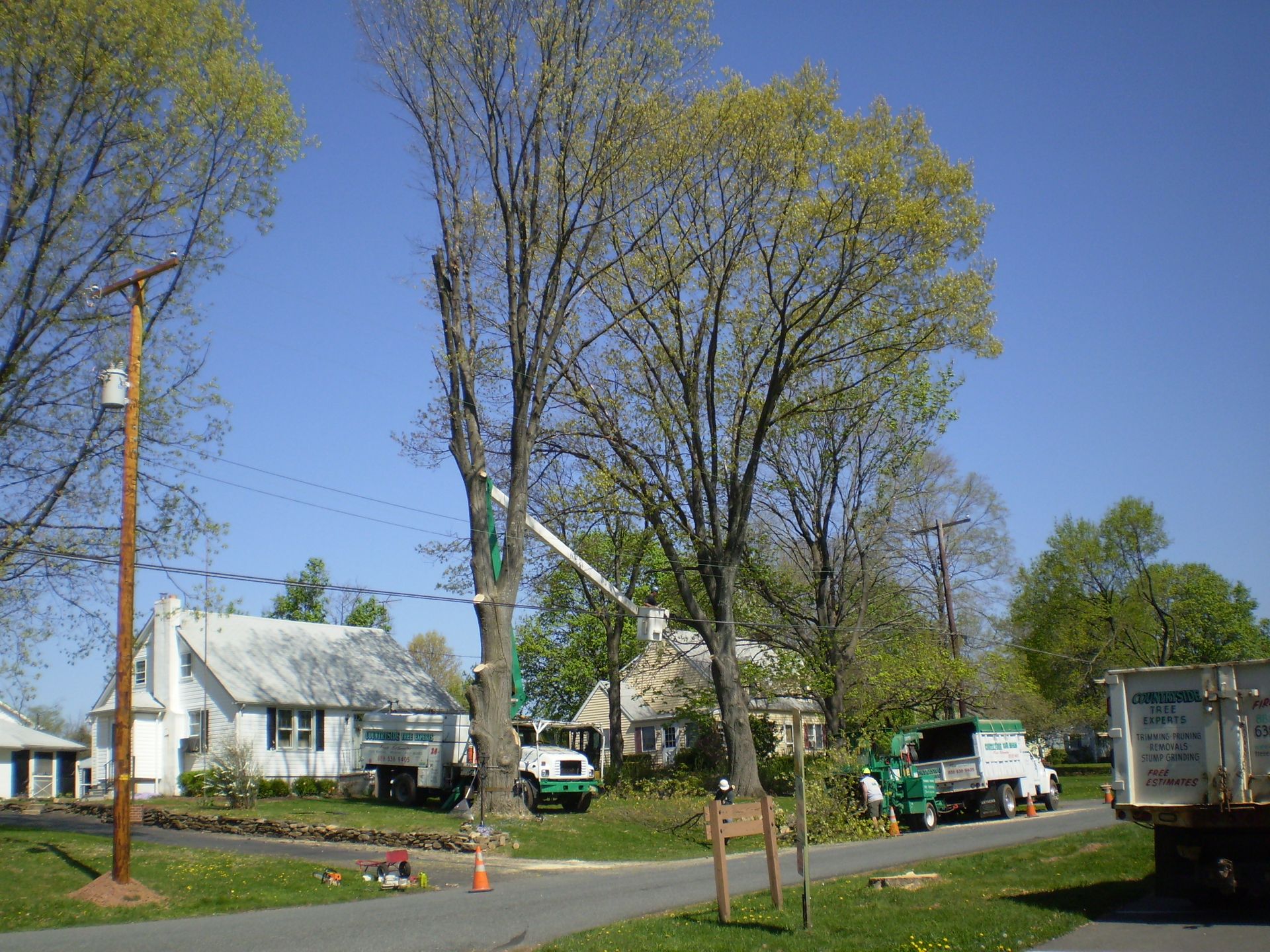 A tree cutting truck is parked on the side of the road.