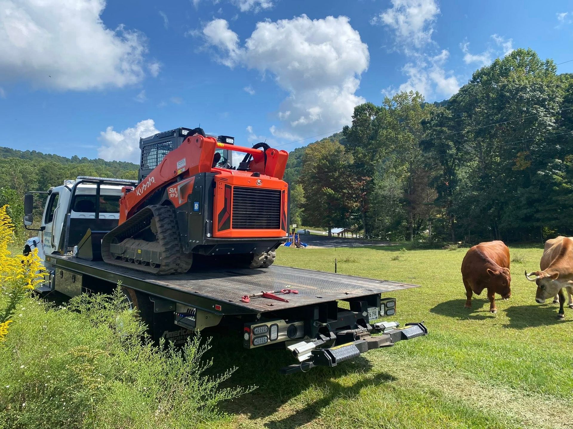 Orange compact loader on a flatbed trailer in a field, with cows grazing nearby under a blue sky.