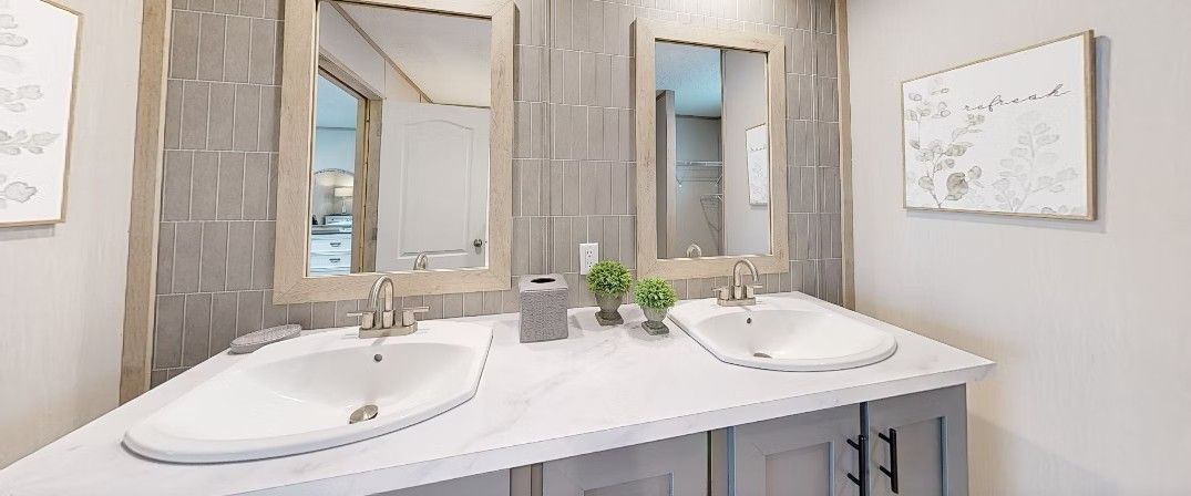 Bathroom with two sinks, mirrors, and gray cabinetry. A plant and tissue box sit on the countertop.