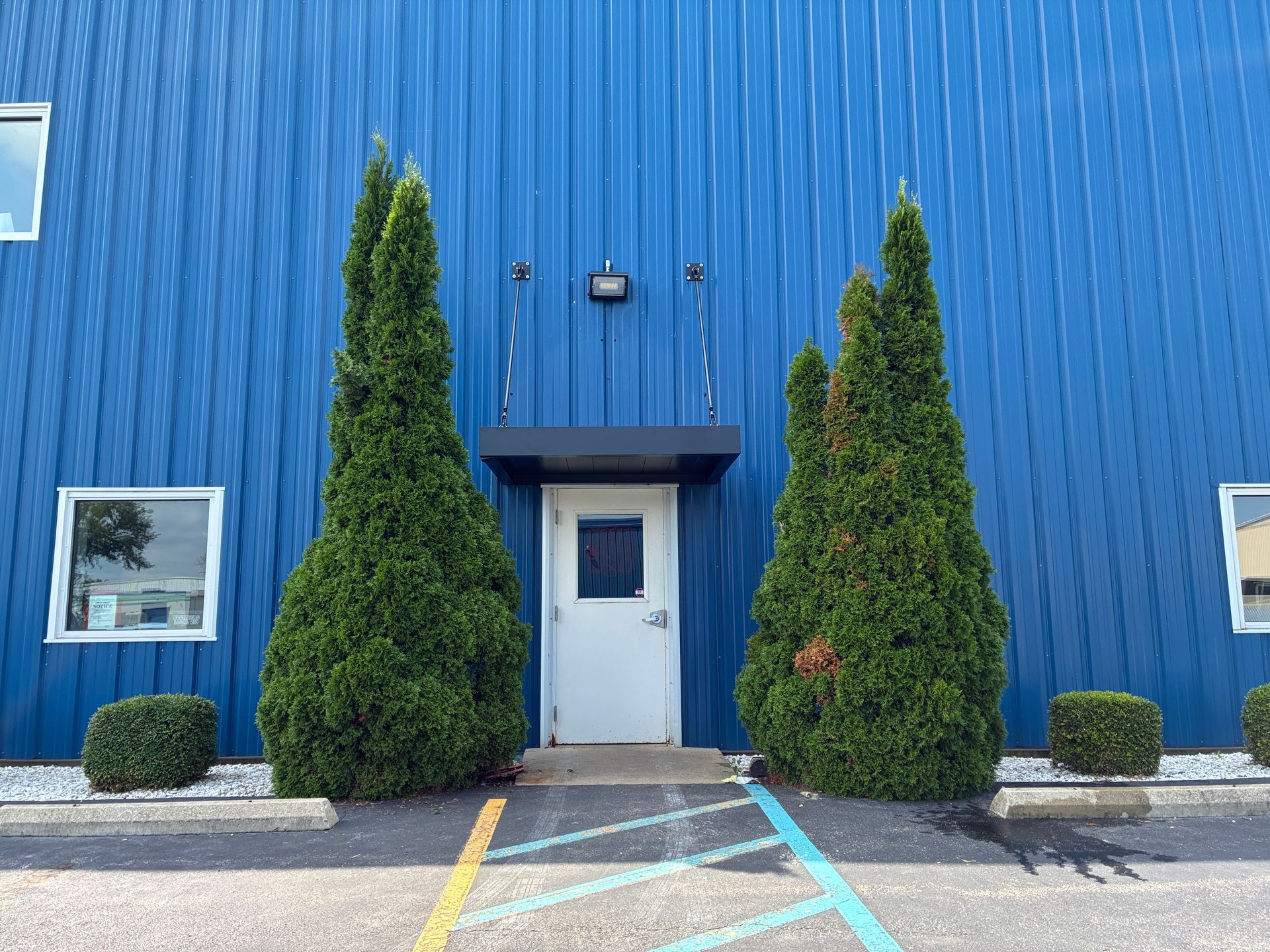 Blue building facade with white door, flanked by tall shrubs and small windows along a painted parking area