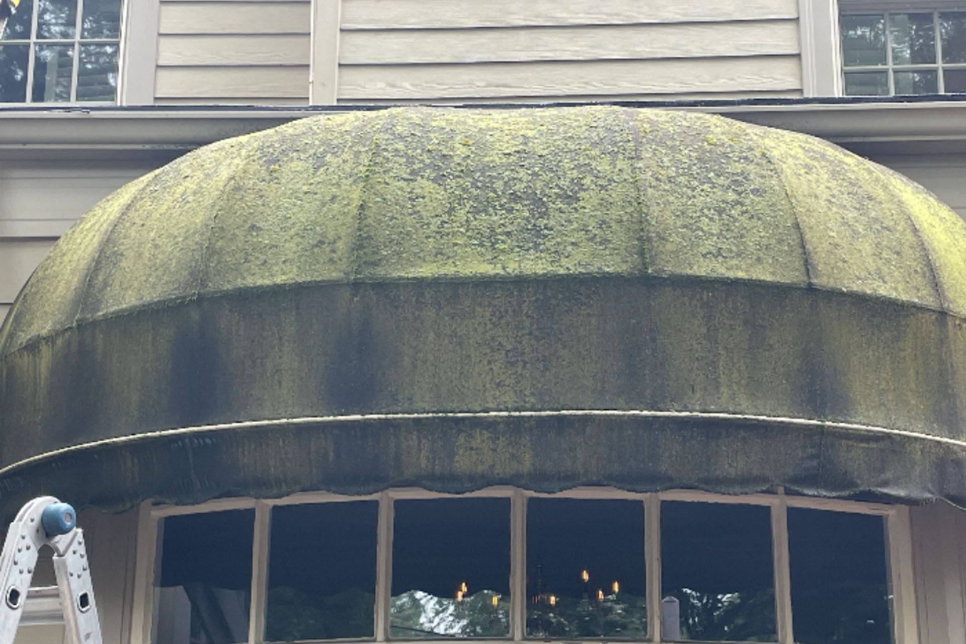 Moss-covered green awning over a windowed storefront beneath gray siding