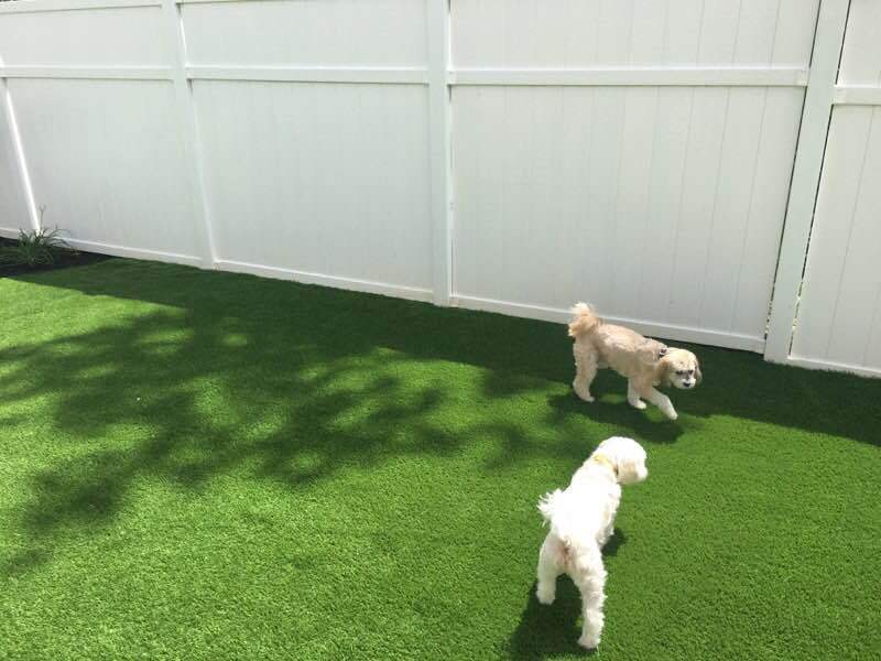 artificial grass